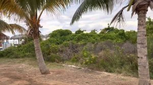 Iberostar Playa Pilar 2023 Итоги
