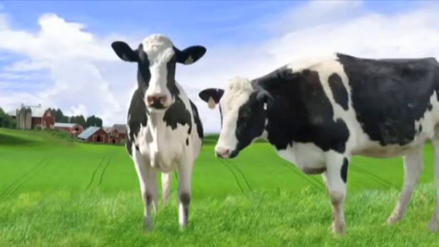 Сыворотка смотреть онлайн