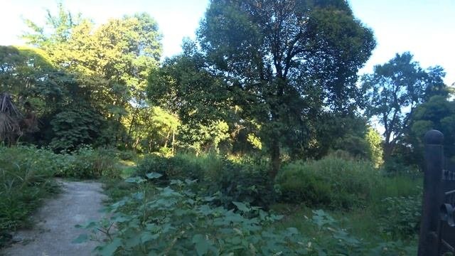 Квартиры в центре Хосты. ЖК Хоста Ривер Парк. Квартиры в Сочи для жизни и отдыха.