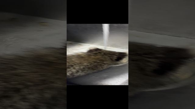 17-12-2023