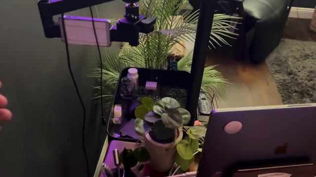 Optimize your workspace for art.  Office tour 2022