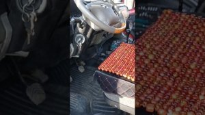эур на газель от тоиоты