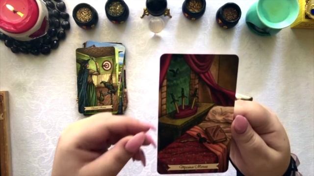 Повседневное Таро Ведьмы/Обзор колоды/Everyday Witch Tarot