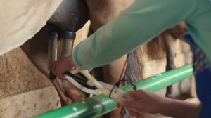 Председатель сельсовет - Это мой кумыс