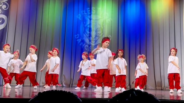 ВПЕРВЫЕ НА СЦЕНЕ #влог #влогикаждыйдень #сцена #лисаалиса