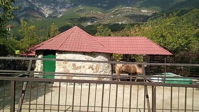 Зоопарк Сказка в Ялте смотреть онлайн