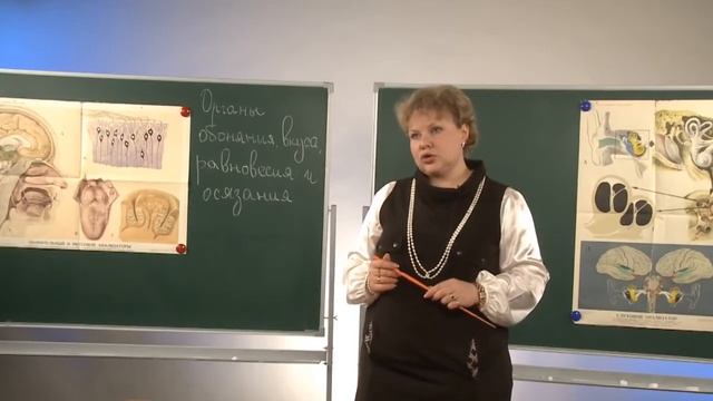 Осязание