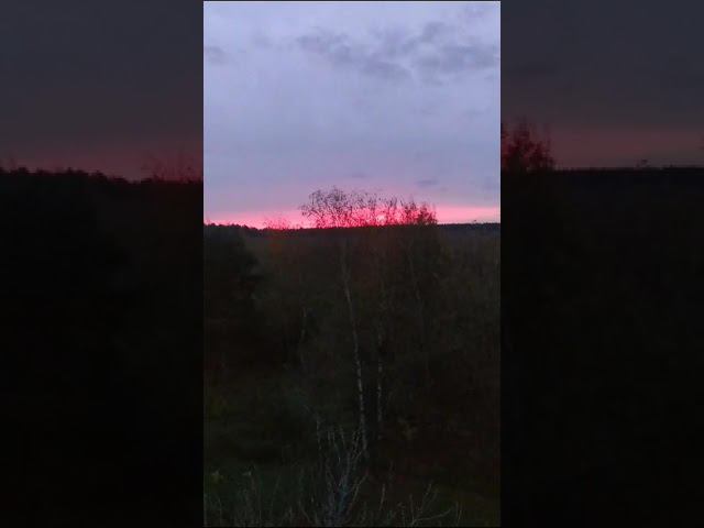 14 октября 2023 г. смотреть онлайн