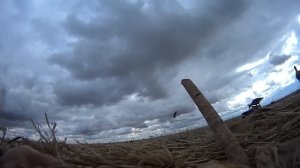 Охота на гуся в Казахстане. Осень 2019.