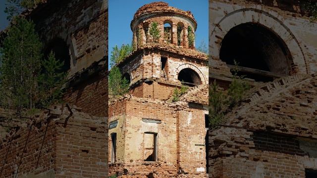 Trees on temples - Деревья на храмах