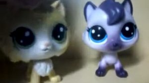 Lps MV Шишки,елки,зеленые иголки