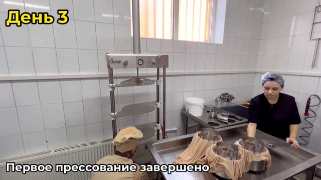 Курсы сыроделия  | Чечулина Павла Ивановича | рецепт сыра