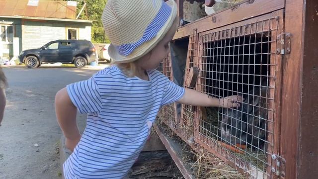 Александрова дача. Алиса так давно просила увидеть лошадок. смотреть онлайн