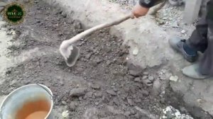 Знаете ли вы о пользе подкладывания угля и амафоса под виноград во время зимней спячки?