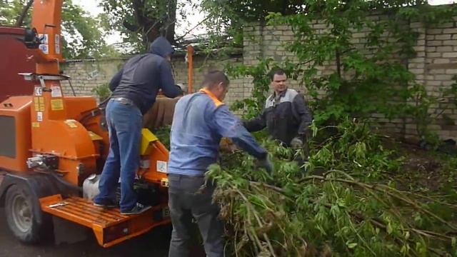 Опиловка и дробление веток деревьев