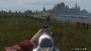 Let's Play DayZ (24)