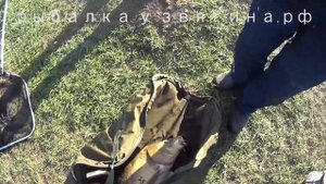 Рыбалка в Воронеже и области