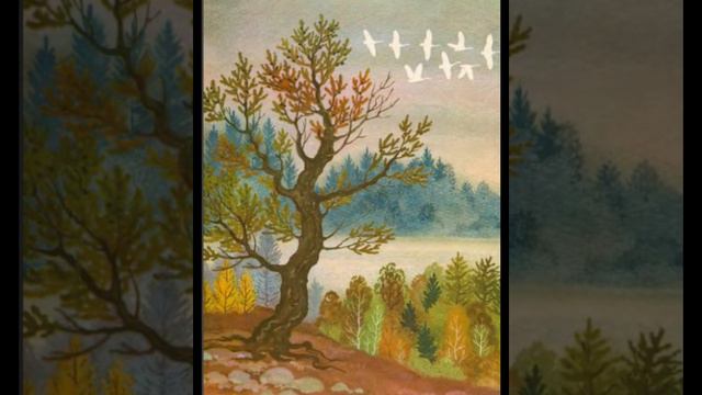 Девочка лебедь. Сказки. смотреть онлайн