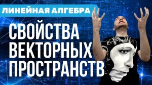 Какие есть свойства векторных пространств? Душкин объяснит