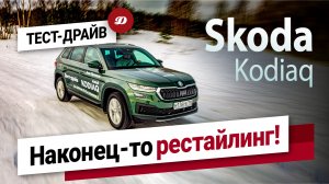 Тест-драйв нового Skoda Kodiaq. Ищем изменения в обновленном кроссовере.