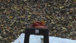 На что способна рогатка. Большой тест рогатки. От арбуза до тушёнки.what is a slingshot capable of.