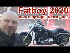 Fatboy 2020 - пол квартиры между ног