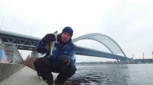 СУДАК НА ДРОП-ШОТ. Київ, весна 2024 р.