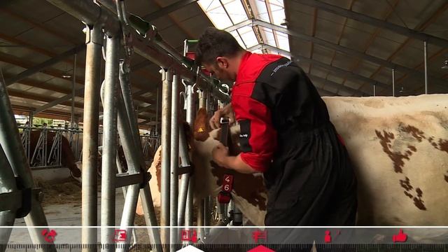 Le suivi du robot de traite Lely Astronaut autour de la mise en route FR смотреть онлайн