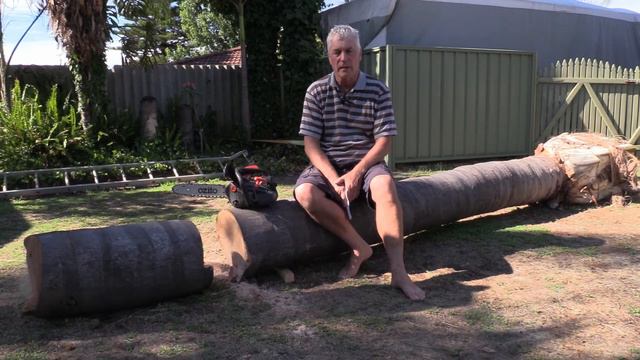 Cutting a Cocos Palm Down and weighing the trunk смотреть онлайн