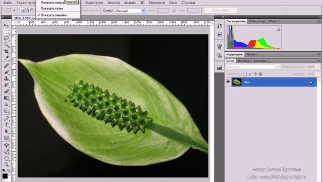1. Знакомство с Adobe Photoshop CS5 ( 1.2 Обзор интерфейса ) смотреть онлайн