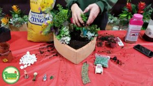 Valentine's Day Fairy Garden Heart Planter!!