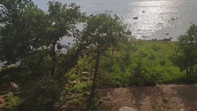 Экотропа Киперорт 2023 (Выборг, Приморск). Как лучше доехать, полное прохождение, впечатления. смотреть онлайн