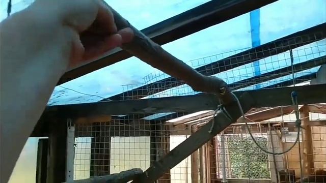 Куриная ферма своими руками. Заработок на дому. Бизнес с нуля. Проект Дышло