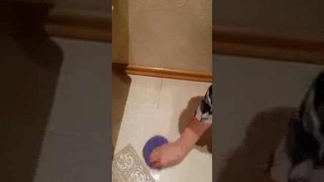 Набор серии Инволвер компании Greenway смотреть онлайн