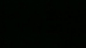 Когда зажигаются елки (1950)