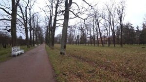 Санкт-Петербург Пушкин Екатерининский дворец Александровский парк ужин в кафе Евразия Питер 2021