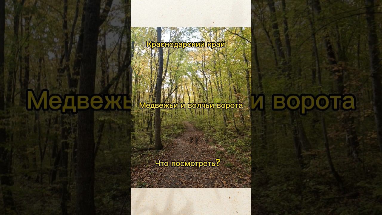 Волчьи и медвежьи ворота #отдыхвкраснодарскомкрае #кубань смотреть онлайн
