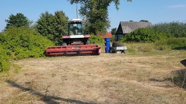 СЛОМАЛАСЬ ВСЯ ТЕХНИКА - В РАЗГАР КОРМОЗАГОТОВКИ!  Кировец Terrion 3180 atm ПРОПАЛО СЦЕПЛЕНИЕ.