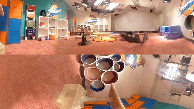 Meow Madness Virtual Reality Locker Room Part 1 смотреть онлайн