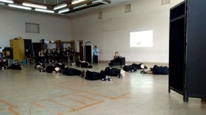 22 06 17 животный мир - пантомима