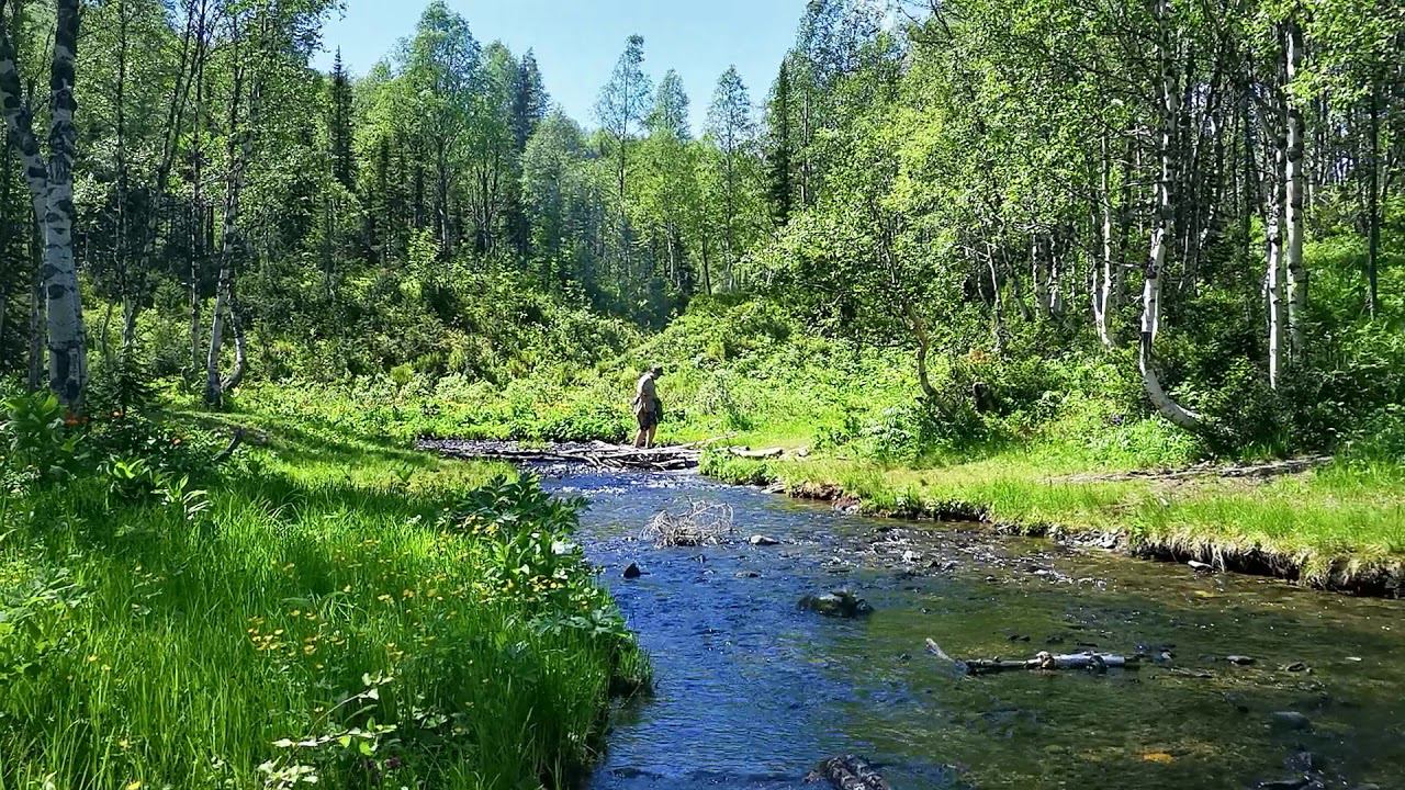 р. Сарала, Хакасия. смотреть онлайн