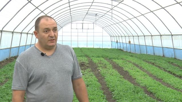 "Агростартап"в КФХ Гайка Месропяна. Лучший проект в Кущевском районе.