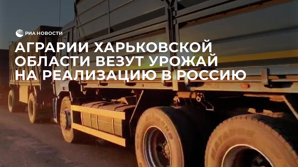 Очередь из грузовиков с зерном на границе Харьковской и Белгородской областей