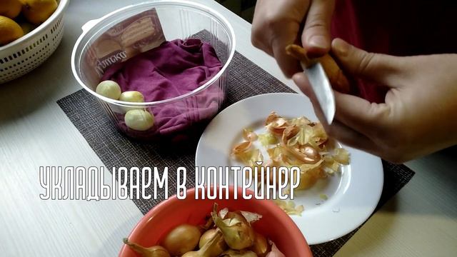 БЫСТРЫЙ РЕЗУЛЬТАТ. БЕЗ ГРУНТА. Лук на зелень. смотреть онлайн