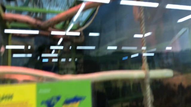 Vlog: поездка в Смоленск//Контактный зоопарк смотреть онлайн