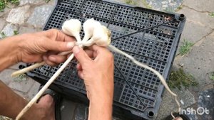 КАК ПРАВИЛЬНО подготовить ЧЕСНОК к Зиме.КАК заплести косу из ЧЕСНОКА!