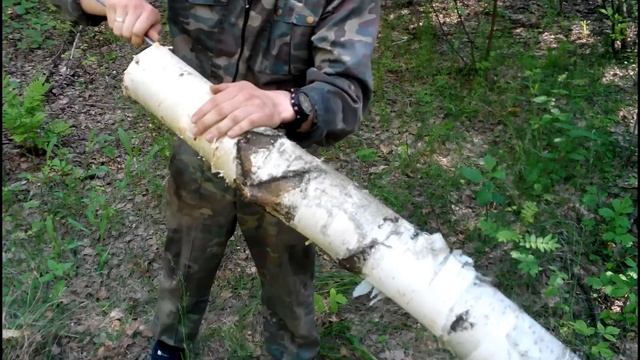 Заготовка сколотня и бересты. смотреть онлайн