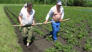 Как в деревне пашут
