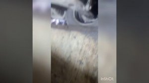 гольф 4 горит давления масла