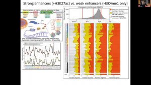 MIT Deep Learning Genomics - Lecture 14 - Deep Learning for Gene Expression Analysis (Spring20)